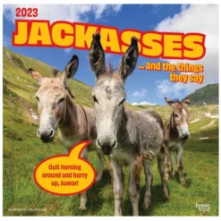 Brown Trout Jackasses 2023 Square Calendar - Calendars
