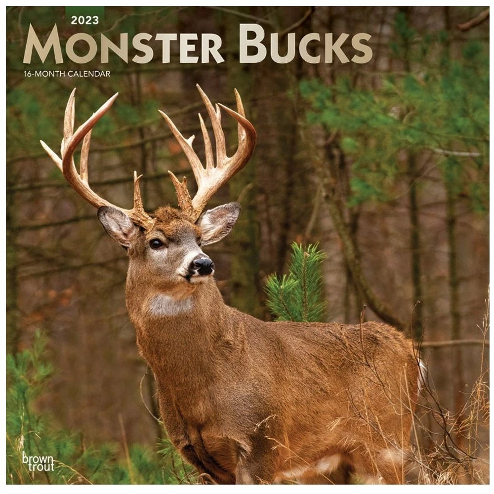Brown Trout Monster Bucks 2023 Square Foil Calendar - Calendars 3 Brown Trout Monster Bucks 2023 Square Foil Calendar - Calendars