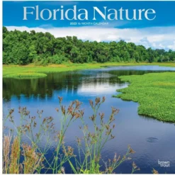 Brown Trout Florida Nature 2023 Square Foil Calendar - Calendars